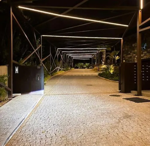 View * Funchal (Madeira)